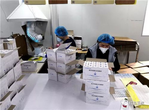 558家企業近兩萬人有序復工，青島高新區如何筑牢“防疫網”？